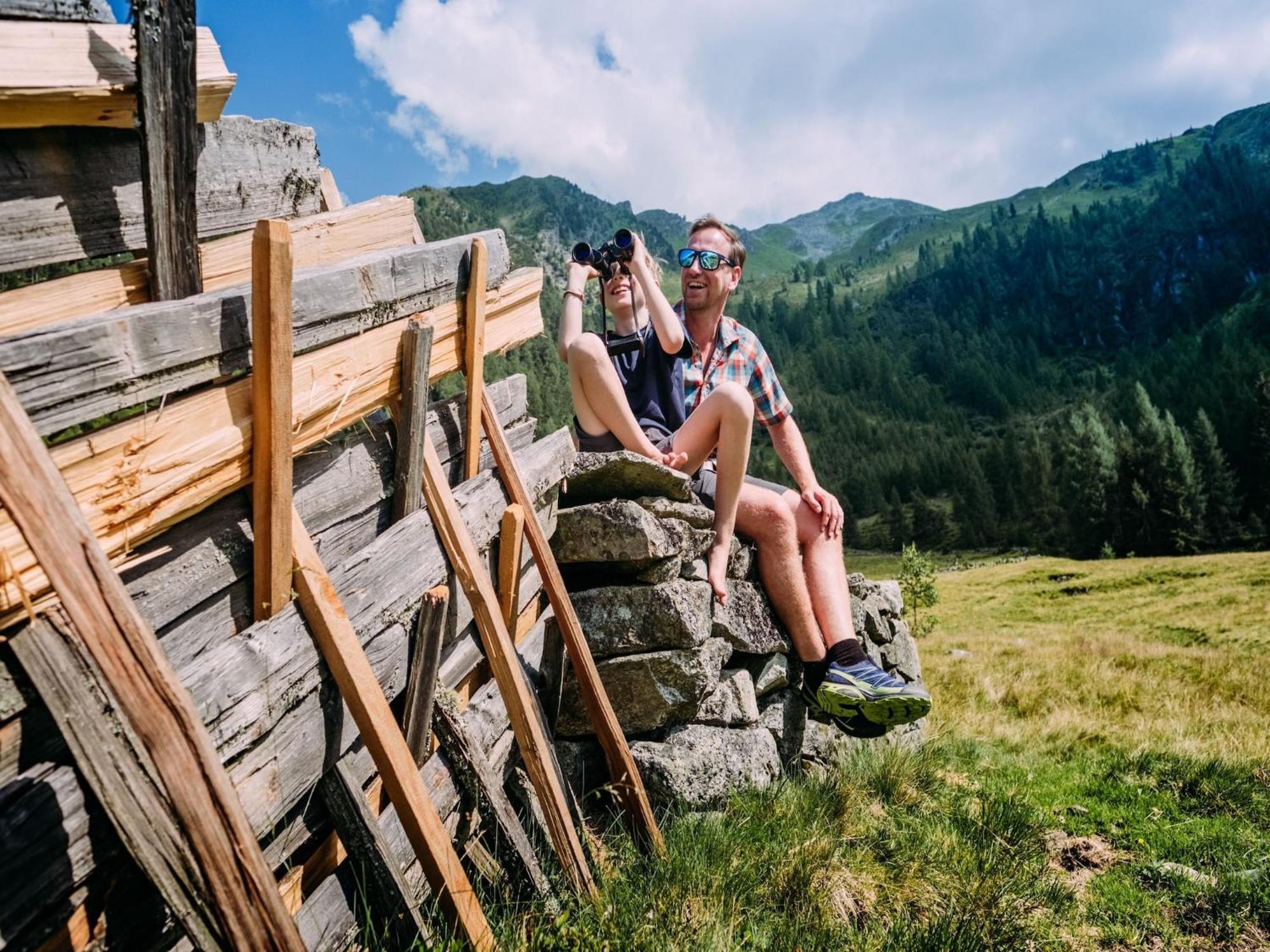 Apartment Johann In Wald Im Pinzgau With Balcony エクステリア 写真